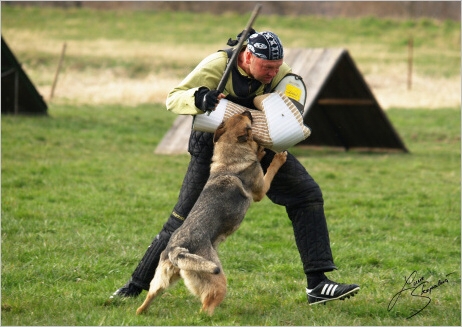 Training in Prague - 2. 4. 2008